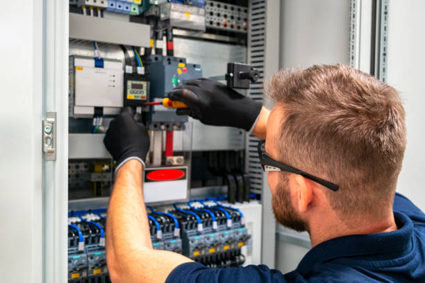 Best Electric Panel Repair  in Eagle Pass, TX